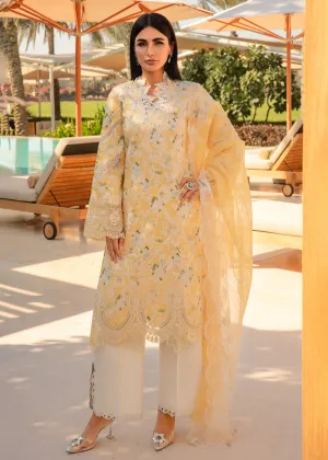 Carnation Summer Lawn Collection '24 by Rang Rasiya | ARIANA